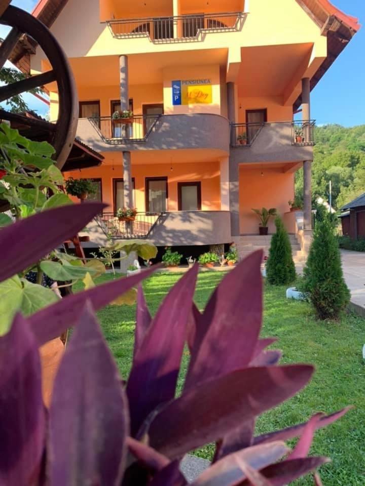 M Dey Hotel Viseu de Sus Exterior photo